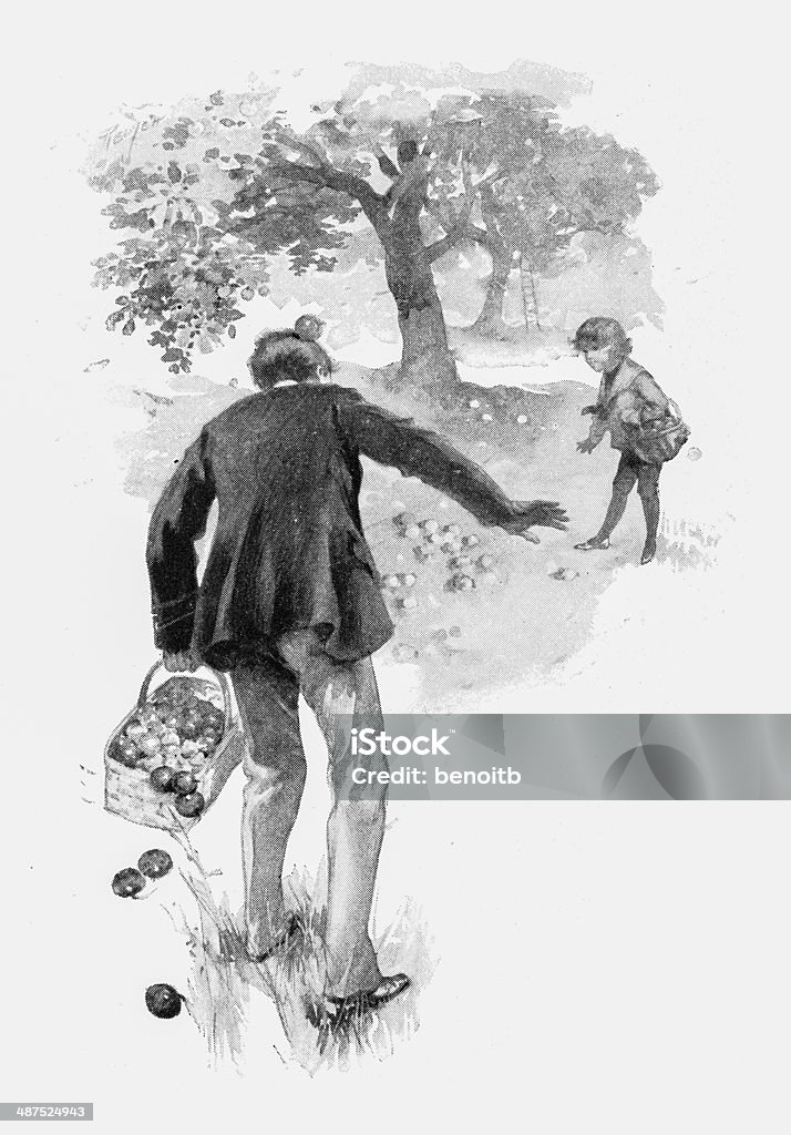 Picking Apples Apple - Fruit stock illustration