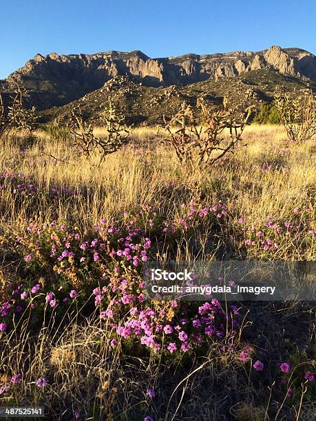 Mobilestock Natur Landschaft Stockfoto und mehr Bilder von Albuquerque - Albuquerque, Ausgedörrt, Berg