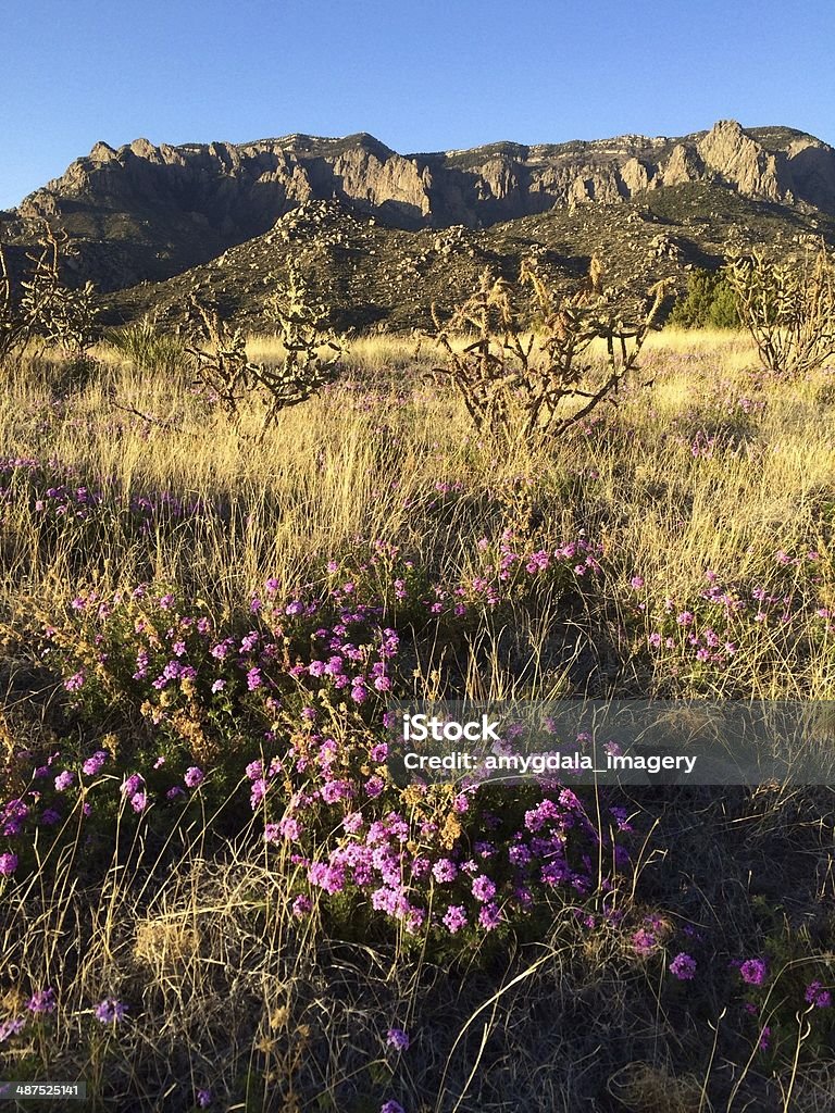 mobilestock natureza Paisagem - Royalty-free Albuquerque - Novo México Foto de stock