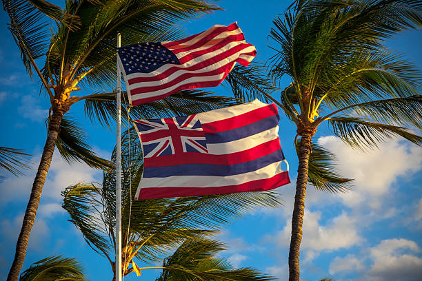 Hawaii State and US Flags stock photo