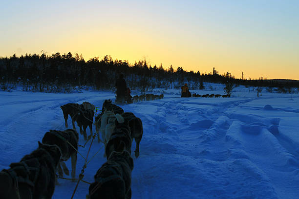 istock Dog sled in Lappland 487530896