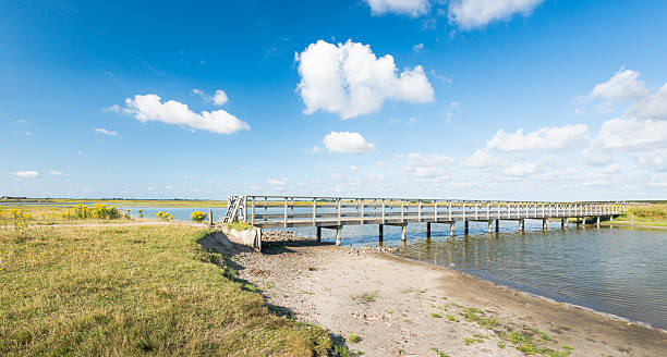 istock Wooden footbridge over a creek 487532674