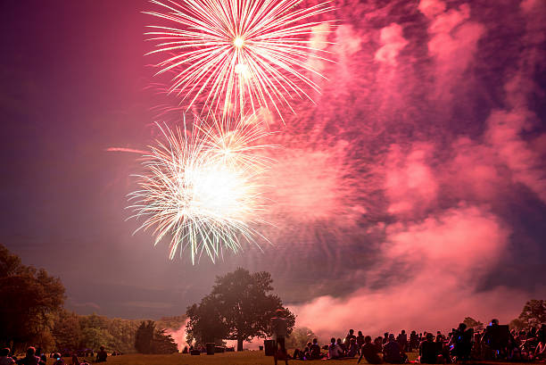 istock People looking at fireworks in honor of Independence Day 487535920