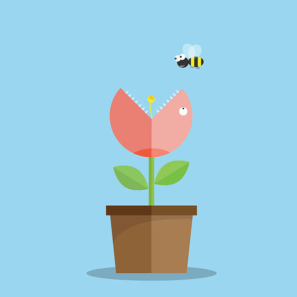 Plants are carnivorous, eating bees. concept vector illustration Plants are carnivorous, eating bees. concept vector illustration. carnivorous stock illustrations