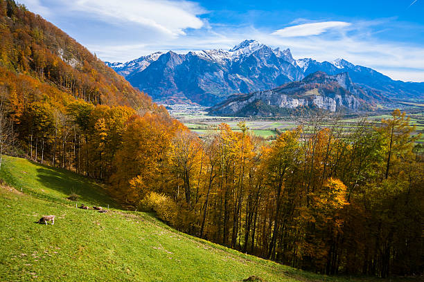 An autumn view from Sargans