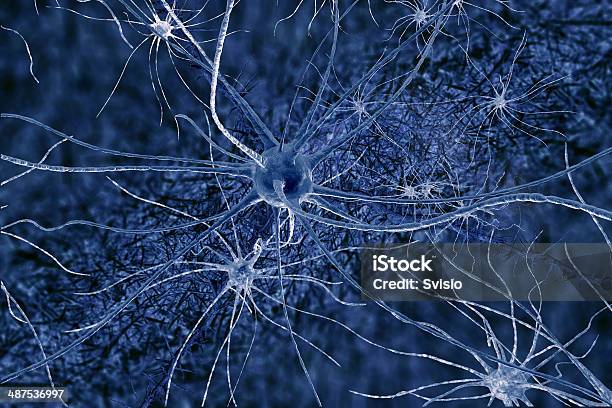 Neuronsl Foto de stock y más banco de imágenes de Anatomía - Anatomía, Aparato de Golgi, Axón