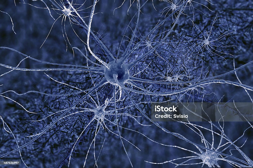 neuronsl - Zbiór zdjęć royalty-free (Anatomia człowieka)