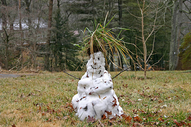 feliz de muñeco de nieve - melting snowman winter spring fotografías e imágenes de stock