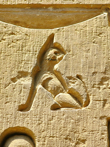istock Archaeological site of Kom Ombo, Egypt: small cat carving 487538201