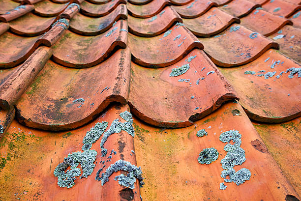 Old roof tiles stock photo