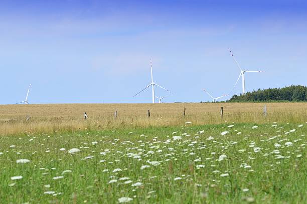 istock wind turbines field of grain and forest 487538460