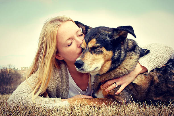 istock Young woman hugging and kissing German Shepherd 487538527