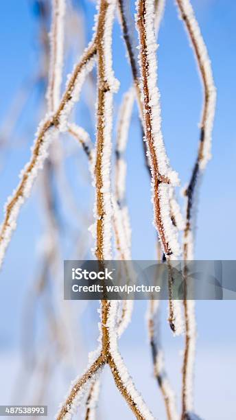 Winter Scene On A Dutch Dike Stock Photo - Download Image Now - Agricultural Field, Agriculture, Asphalt