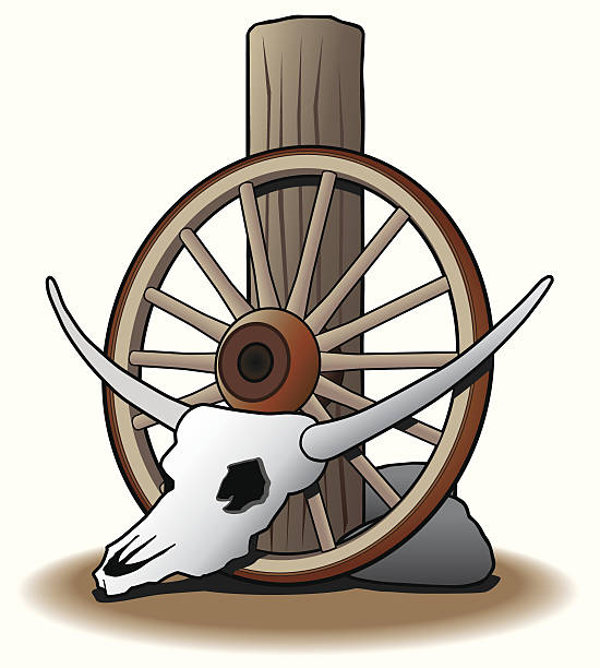 Steer Skull Steer skull in desert setting leaning against wagon wheel animal skull cow bull horned stock illustrations