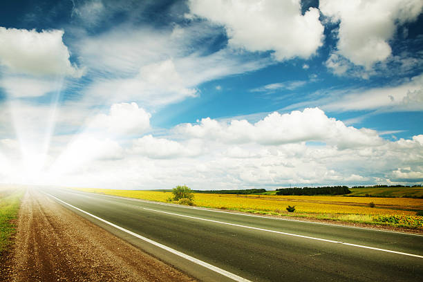 istock Road through the yellow sunflower field 487539421