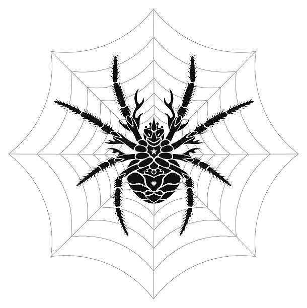Stylized Spider A stylized spider and cobweb vector art. EPS 8 file with 3 layers. Left and right parts are separated and grouped. spider tribal tattoo stock illustrations