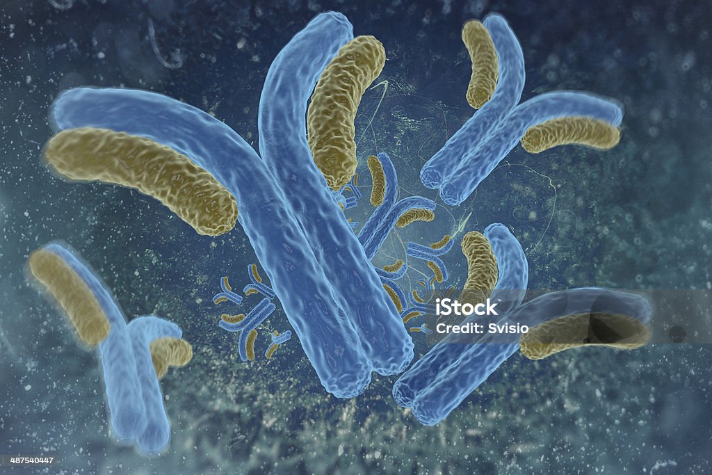 digital illustration antibodies 3d illustration of a cell antibodies Antibody Stock Photo
