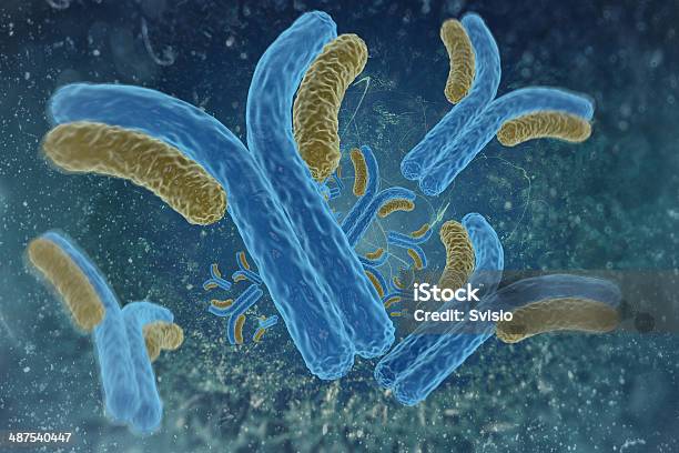Digital Illustration Antibodies Stock Photo - Download Image Now - Antibody, Antigen, Digitally Generated Image