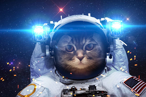 istock Beautiful cat in outer space. Elements of this image furnished 487542154