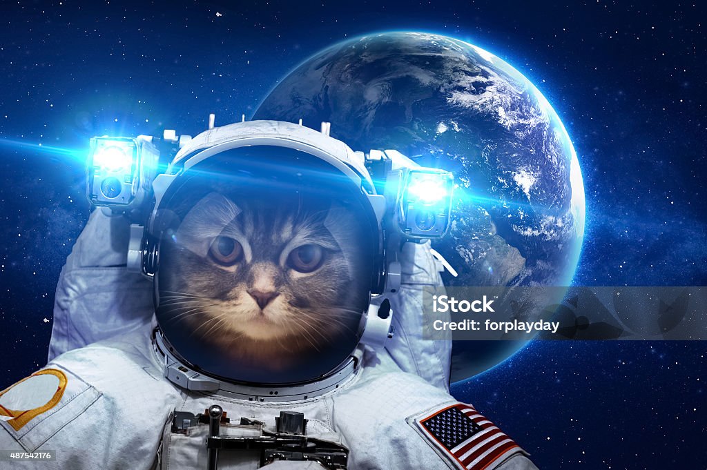 Beautiful cat in outer space. Elements of this image furnished Beautiful cat in outer space. Elements of this image furnished by NASA. 2015 Stock Photo