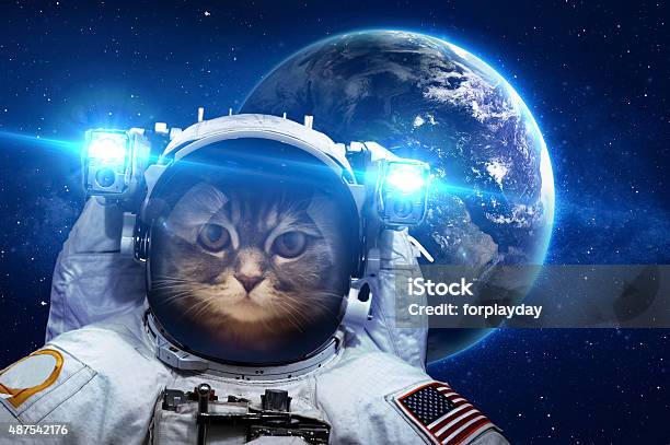 Beautiful Cat In Outer Space Elements Of This Image Furnished Stock Photo - Download Image Now