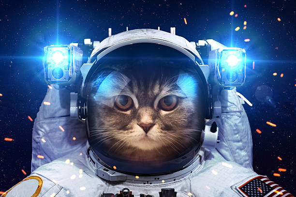 istock Beautiful cat in outer space. Elements of this image furnished 487542204