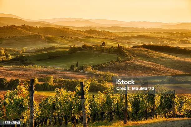 Sunset In Chianti Stock Photo - Download Image Now - Tuscany, Winery, Italy