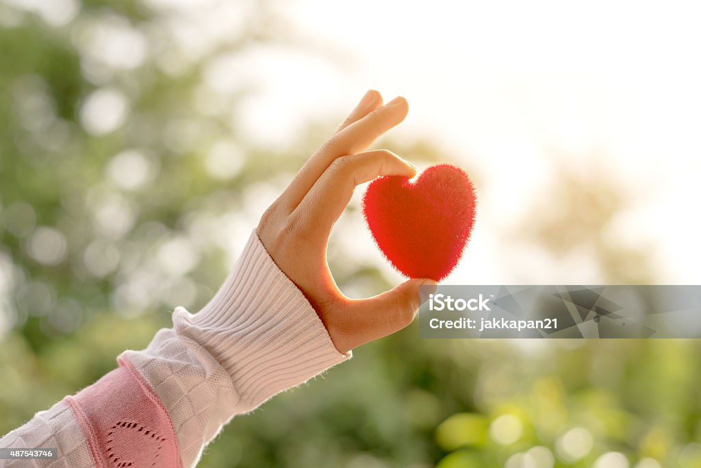 Love sign Female hand holding red heart up to the sun during morning with a vintage , love and valentine concept 2015 Stock Photo