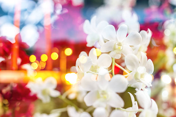 bouquet of orchid flowers and night city view background