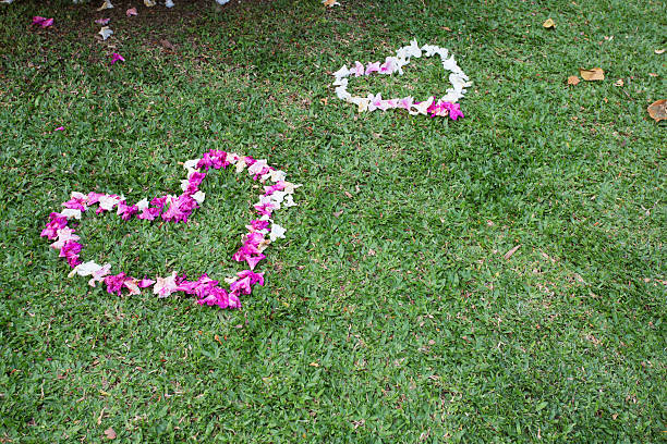 istock flowers in heart shape on green grass background 487551543