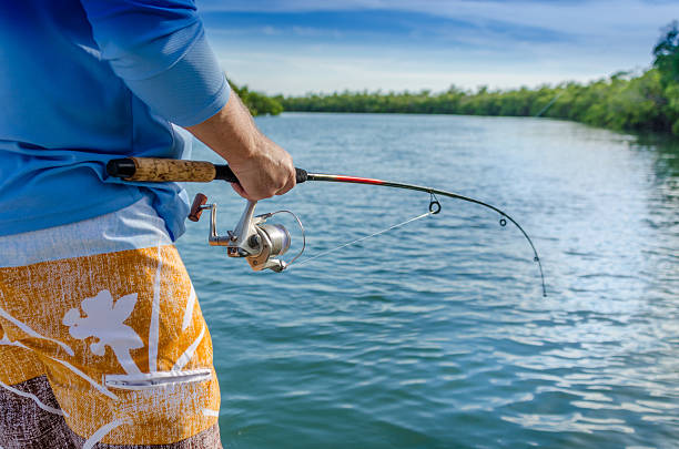 Fishing in the Everglades