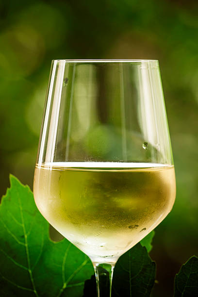 coid 白ワインと緑のブドウの自然背景をぼかし - grape white grape green muscat grape ストックフォトと画像