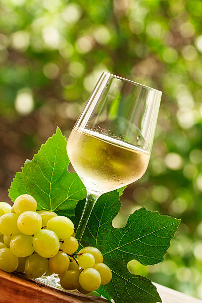 istock Coid white wine and green grapes on natural blurred background 487552024
