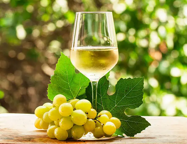 Coid white wine and green grapes on natural blurred background with bokeh, selective focus