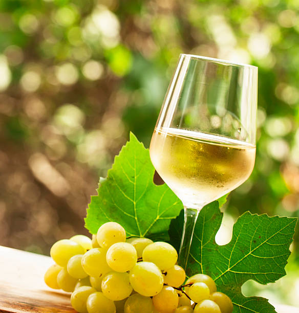 istock Coid white wine and green grapes on natural blurred background 487552032