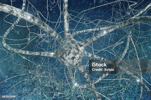 Neurons 人間の脳 - エレクトロンのストックフォトや画像を多数ご用意 - エレクトロン, ゴルジ体, シナプス