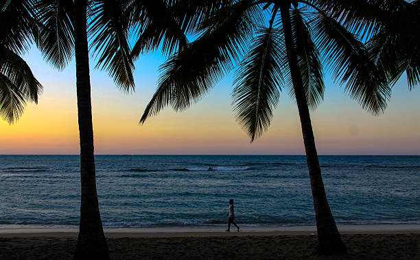 Palm Beach evening walk at the beach, Dominican Republic puerto plata stock pictures, royalty-free photos & images