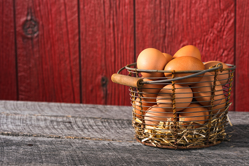 An old rusty wire basket full of freshly collected brown chicken eggs, the basket is sitting on an old weathered wood bench with a weathered red barn planks in the background. There is hay at the bottom of the basket to cushion the eggs.      