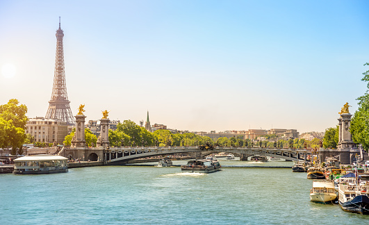 Eiffel Tower and Bridge Alexandre III over Seine River