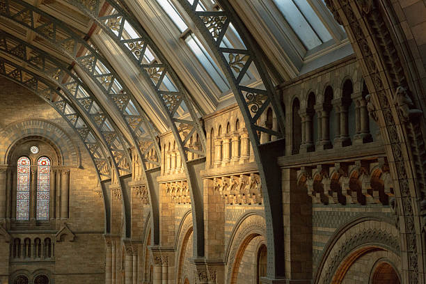 istock Natural History Museum London 487569473