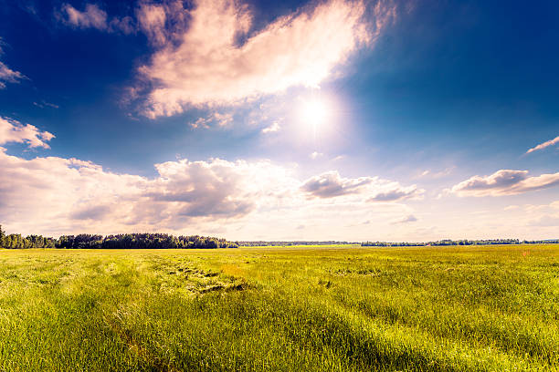 istock Sun comes out of cumulus clouds and illuminates a fields 487570122