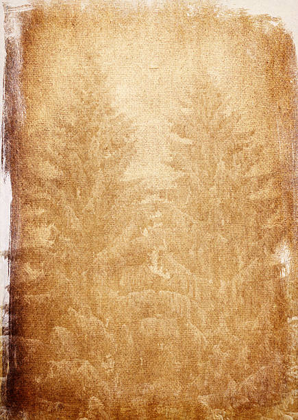 una carta con alberi conifer - wood clipboard old distressed foto e immagini stock