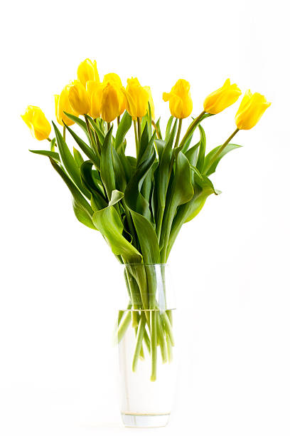 istock bouquet of tulips on a white background 487570678