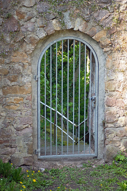 istock Iron door in the wall 487572873