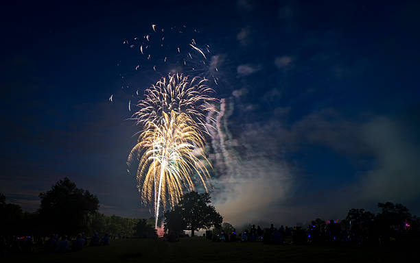 istock People looking at fireworks in honor of Independence Day 487573258
