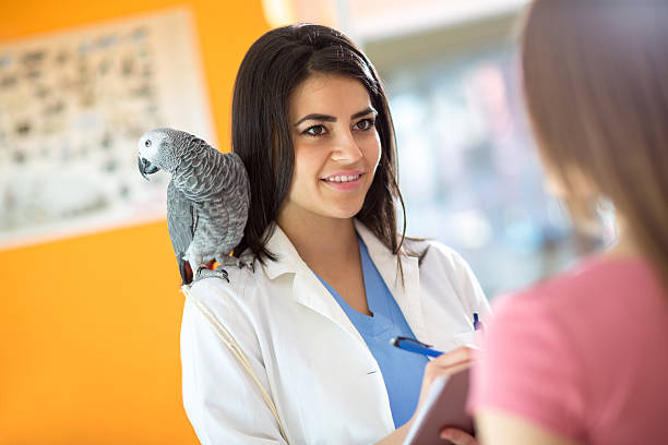 istock Veterinarian diagnosing problems with sick parrot in vet clinic 487574186
