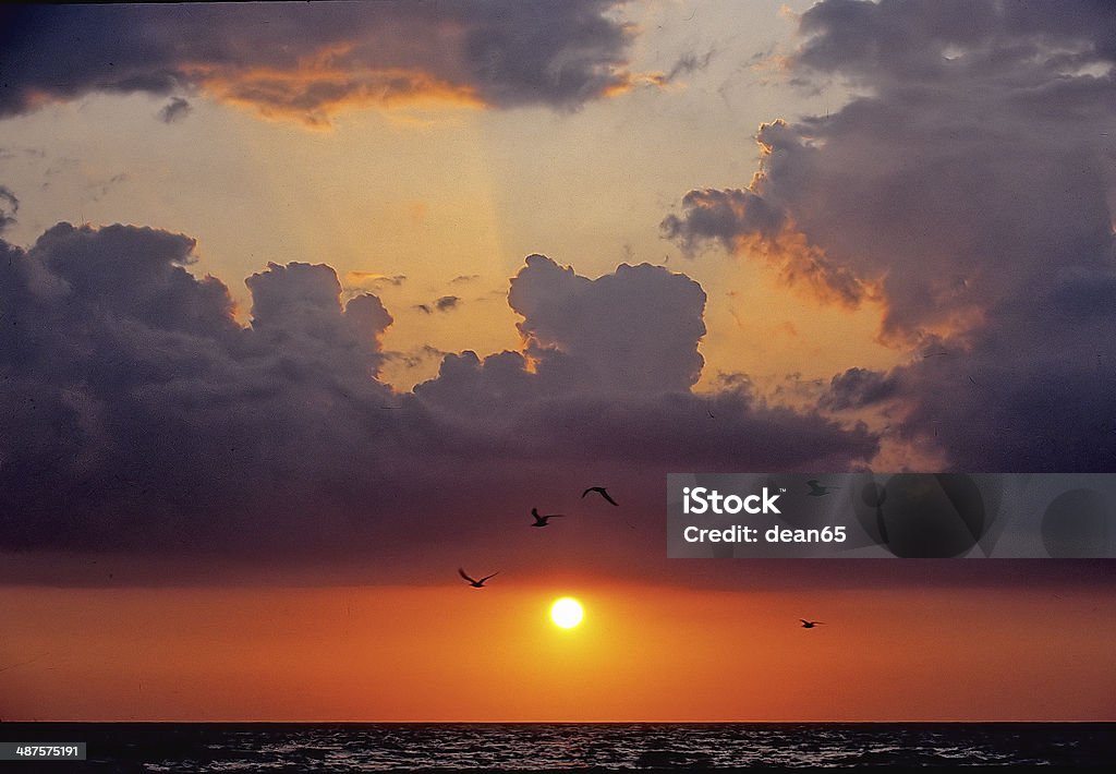 Tropical Beach-Florida This was photographed while hiking the beaches in Florida. Beach Stock Photo