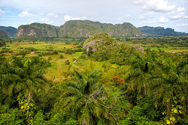Island of Cuba
