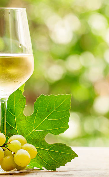 istock Coid white wine and green grapes on natural blurred background 487576060