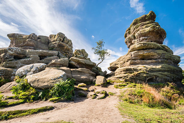 verwitterte brimham rocks - area of outstanding natural beauty stock-fotos und bilder